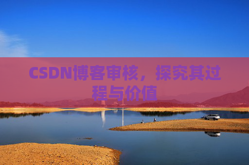 CSDN博客审核，探究其过程与价值